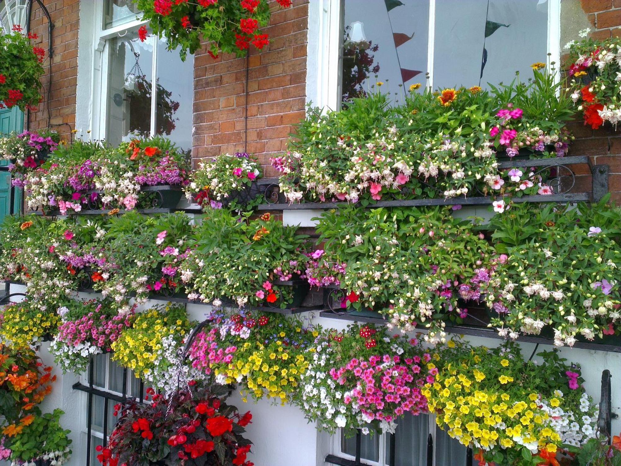 The Langham Bed & Breakfast Weymouth Luaran gambar